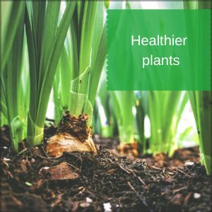 Greenwood 100% Organic Vermicompost Fertilizer Manure For Plants As ...