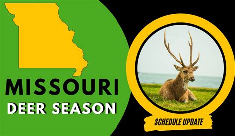 Iowa Deer Season 2025: Your Comprehensive Guide! - DeerSeason.Org