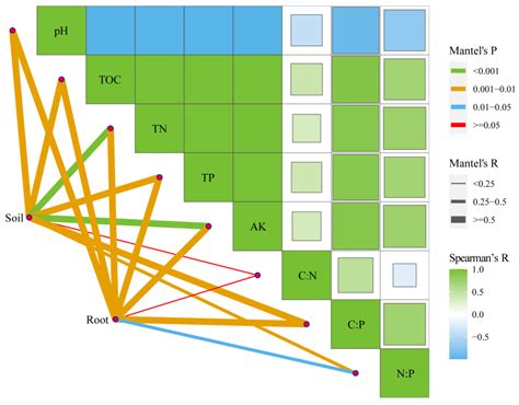 Evaluating the Rhizosphere and Endophytic Microbiomes of a Bamboo Plant ...