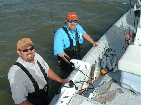 Image result for Popping Pool Floats