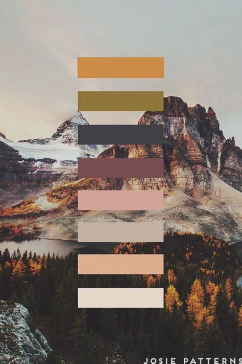 Image result for Beautiful Color Schemes