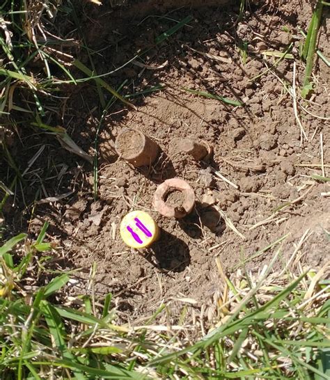 Trimble CSV File 的图像结果