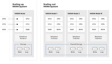 1.2. SAP HANA Scale-Out | 使用 RHEL HA 附加组件自动化 SAP HANA 扩展系统复制 | Red Hat ...