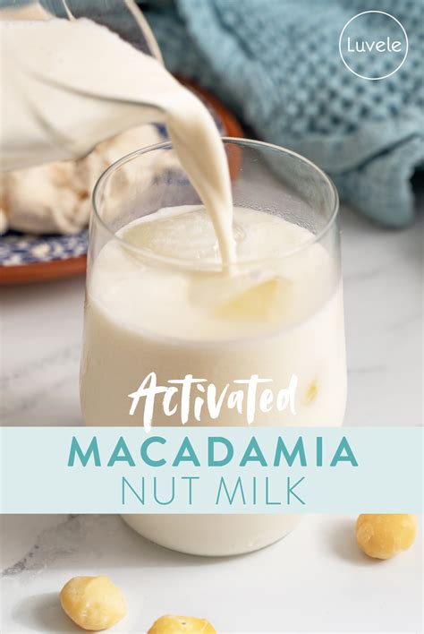 Activated Macadamia nut milk recipe - Luvele AU