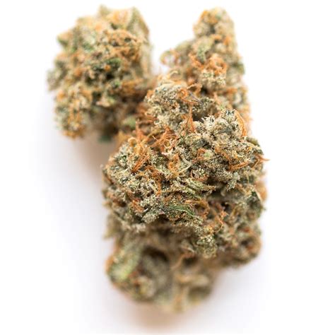 College Park Marijuana Strain Information & Reviews | AllBud