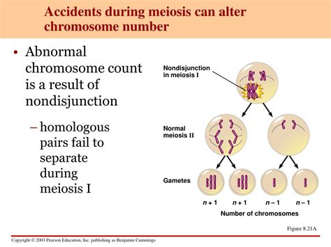Genetics Examples 的图像结果