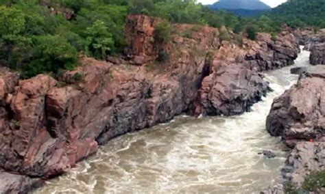 மேகதாது அணை விவகாரம்- தமிழக அரசு சுப்ரீம் கோர்ட்டில் பதில் மனு தாக்கல் ...