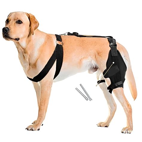 Buy Dog Knee Brace,Dog Hip Brace,Canine Knee,Used to Assist in Recovery ...