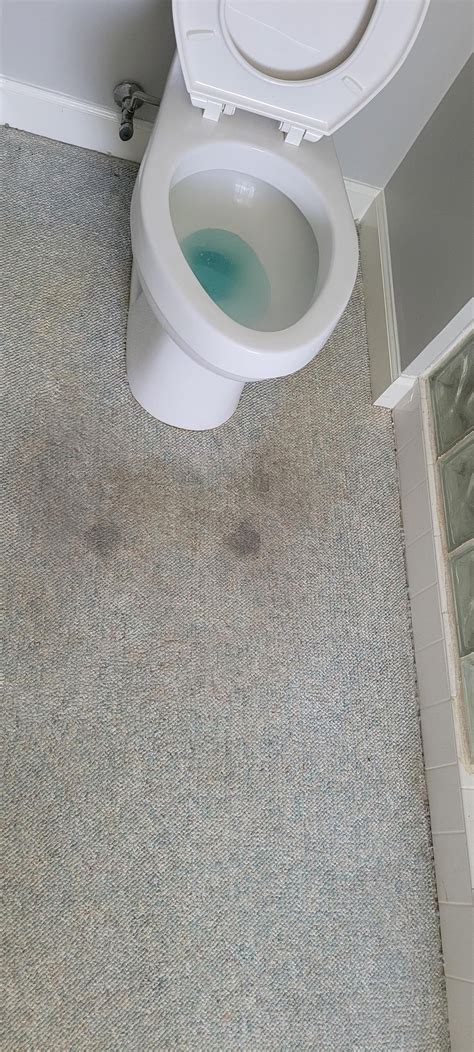 Proximity Mills Yukon River: Wind : r/Flooring