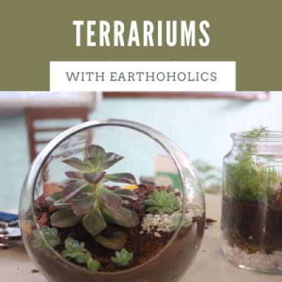 Online: Terrarium making Tickets, October 18 2020 | AllEvents.in