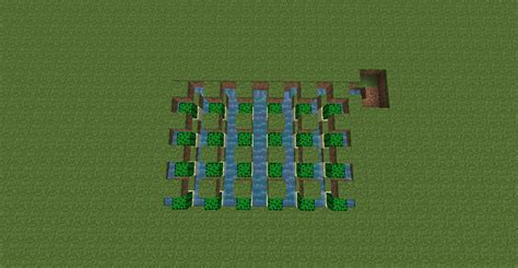 Image result for automatic xp cactus farm minecraft java 1.16.4