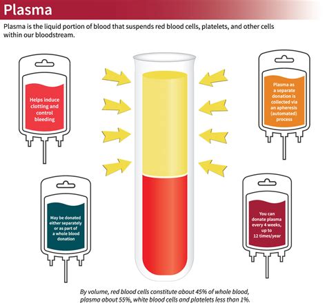 Donating Plasma Vs Blood