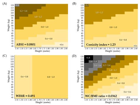 A Body Shape Index (ABSI) as a Variant of Conicity Index Not Affected ...