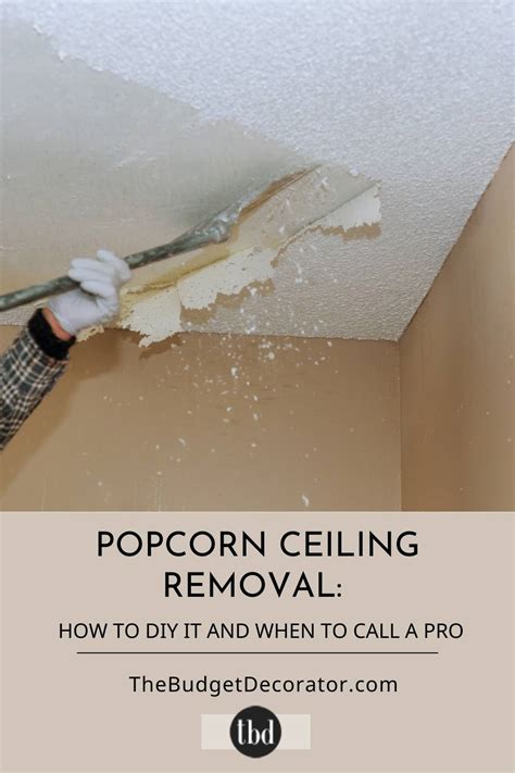Image result for Popcorn Ceiling Removal