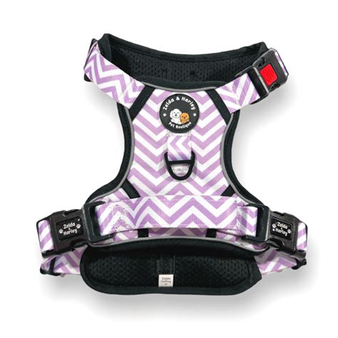 Cute Dog Harnesses – Zelda & Harley