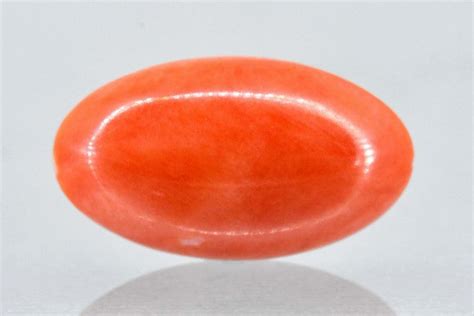 Natural Japanese Red Coral – Gem Selections