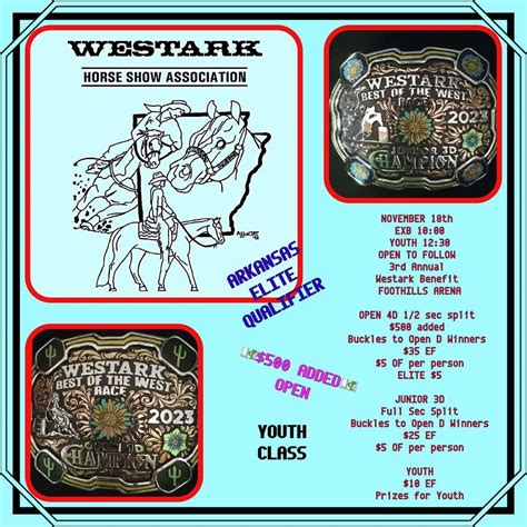 3rd Annual BOTW Barrel Race, Foothills Arena, LLC., Clarksville, 18 ...