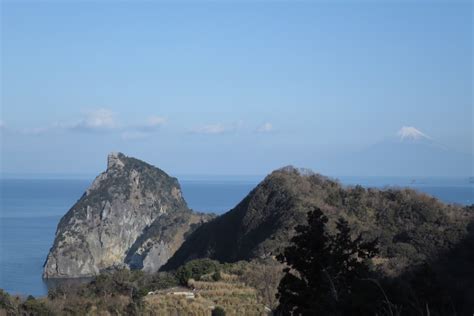 海金剛 | 岩の上にもn年