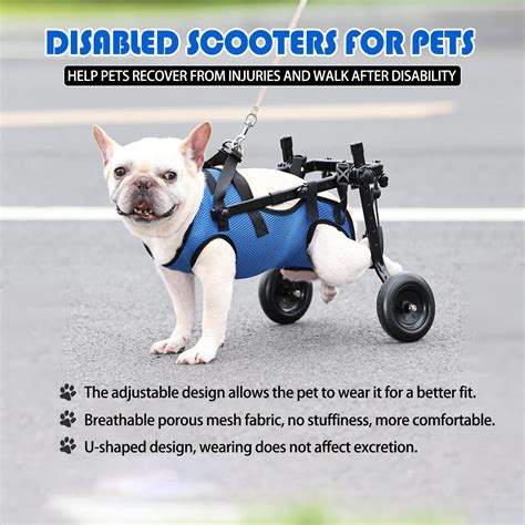 Mobility aids for dog – Artofit