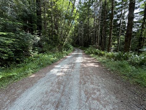 Hiking the Oregon Redwoods Trail on the Oregon Coast — noahawaii