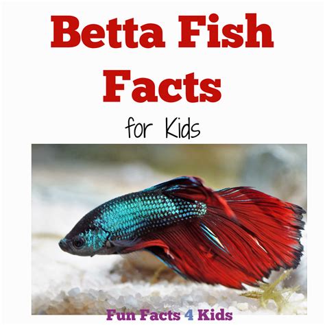 Animals – Page 2 – Fun Facts 4 Kids