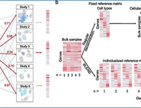 Single-cell RNA-seq 的图像结果