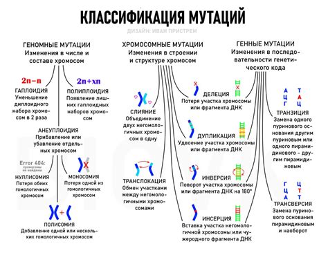 Классификация мутаций | Углубленное изучение биологии, Уроки биологии ...