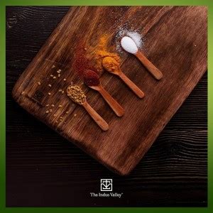 The Indus Valley Neem Wooden Masala Spoon Compact for Salt/Coffee/Tea ...