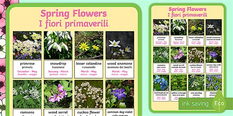 Spring Flowers Display Poster