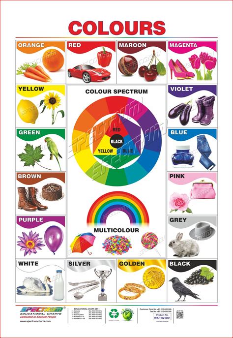 Buy Spectrum Educational Wall Chart (Two-In-One) : ( Colours & Shapes ...