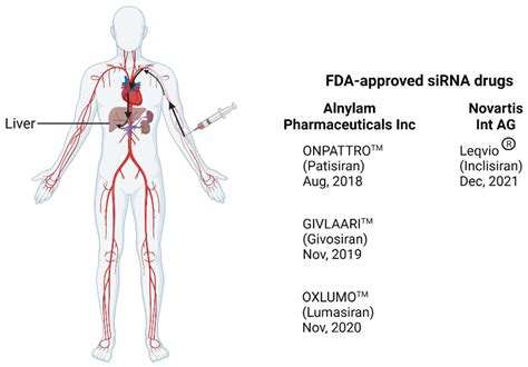 Leqvio Side Effects: An In-depth Look at Potential Risks and ...