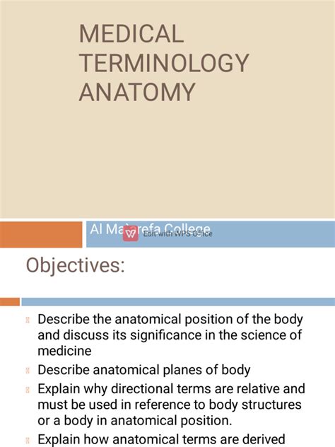 Image result for Example of a Terminology