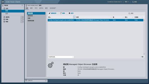 【VMware vSphere】使用Managed Object Browser（MOB）浏览vSphere相关对象。 - JUNIOR_MU ...