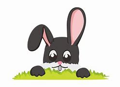 Image result for Adorable Bunny