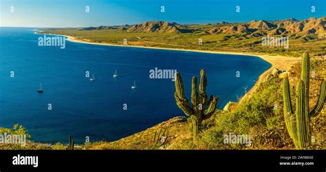Image result for Quick Sort Implementation Visualisatio Video