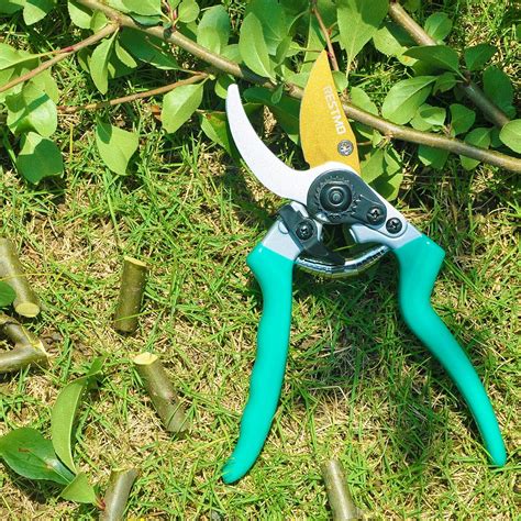 RESTMO Pruning Shears with Adjustable Bypass Gardening Pruners Review ...