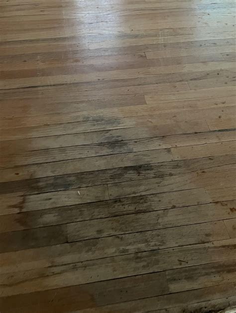 Expert Hardwood Floor Repair | Colorado Springs