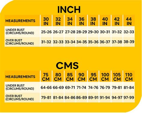 PRENCY SIZE CHART – Prithvi innerwears