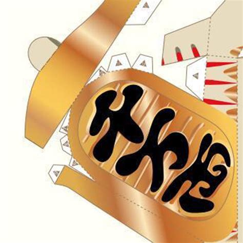 Animal 3d Paper Model Papercraft Modeling Puzzle Diy Scored Paper ...