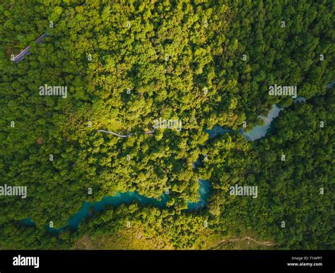 China Landscape 的图像结果