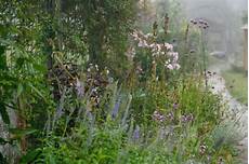 jardin en aout le jardin en d 233 sordre ao 251 t au jardin jardin en aout le jardin en d 233 sordre ao 251 t au jardin