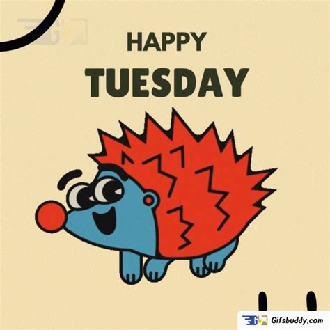 100 Hilarious Happy Funny Tuesday GIFs of the Week - FunZumo