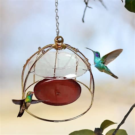 Dome Top Hummingbird Feeders Dome Top Hummingbird ... – Grandado