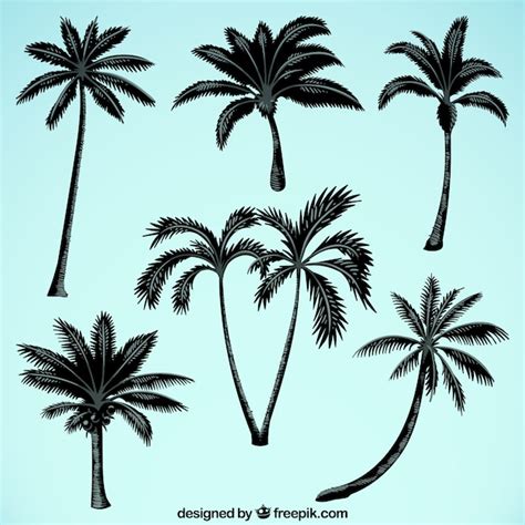 Silhouetten von Palmen | Premium Vektor