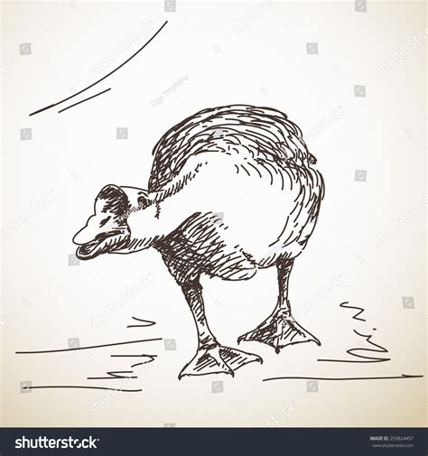 Rezultat imagine pentru Goose Attacks