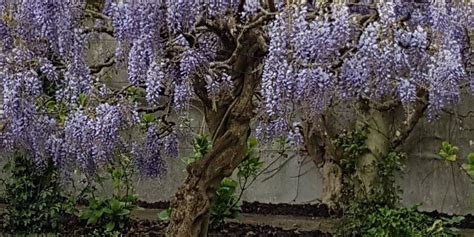 Rolvenden Tourism (2023): Best of Rolvenden, England - Tripadvisor