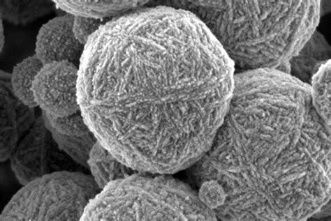 Image result for Colloidal