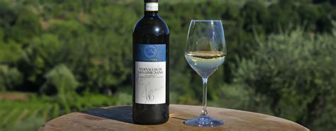 A Study on Aromagramme of Vernaccia di San Gimignano wine - La Lastra