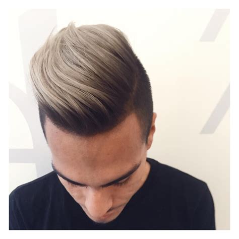 Hair Color Ash Gray Male at Peggy Rios blog