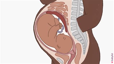 38 Weeks Pregnant: Symptoms, Baby Development, and More